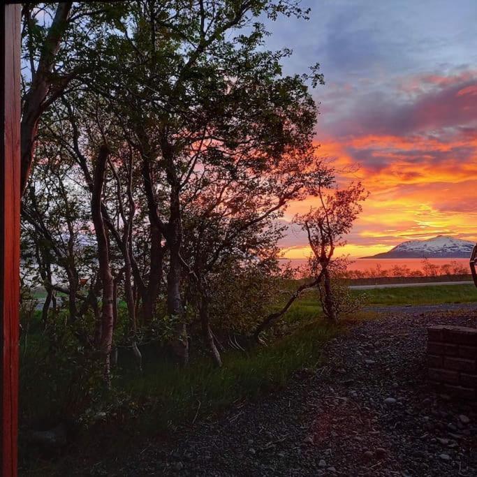 Ferienwohnung Þorsmoerk Farm 12 Min From Akureyri Svalbarthseyri Exterior foto